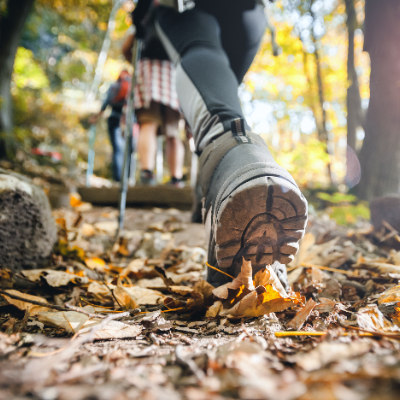 People walking along a hiking trail