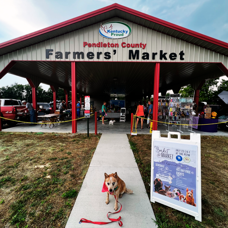  Pendleton County Farmers' Market Pavilion with sidewalk leading to open air structure.