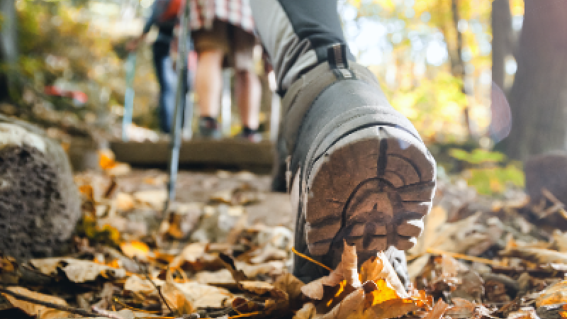 People walking along a hiking trail